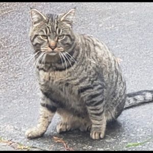 Meet your Posher, Grace